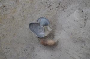 出土状況