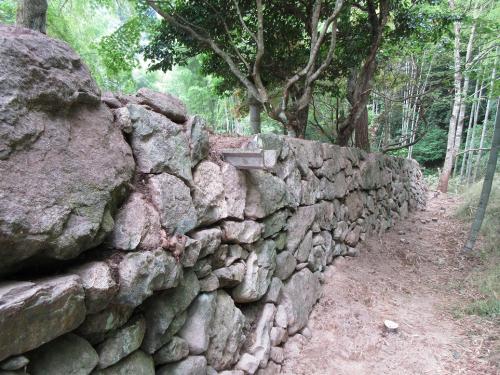 遺跡岩瀧寺跡南側石垣3