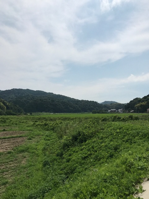 都治の山並み