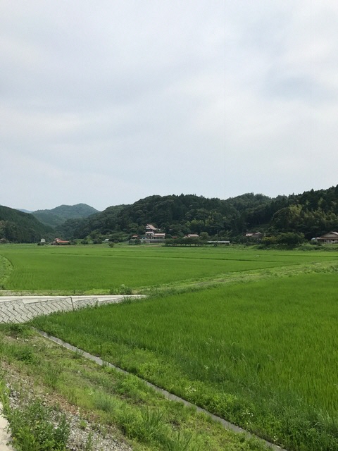 都治の田園風景