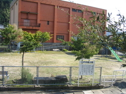 川戸児童公園の全景