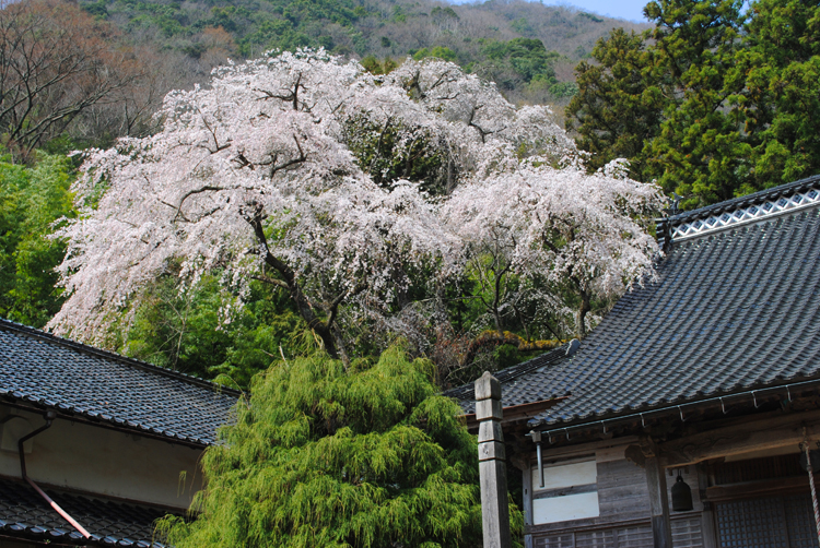 甘南備寺