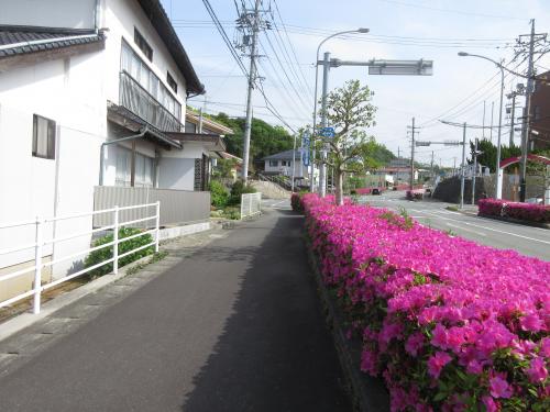 県道三次江津線