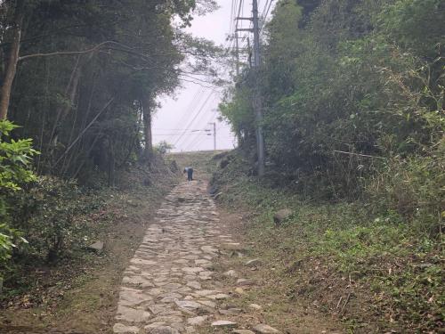 江津本町からの眺め