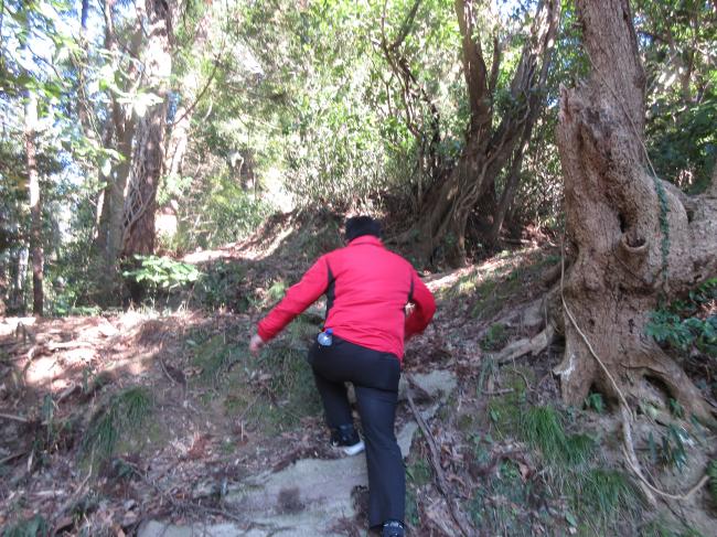 登山道途中頂上まで少し