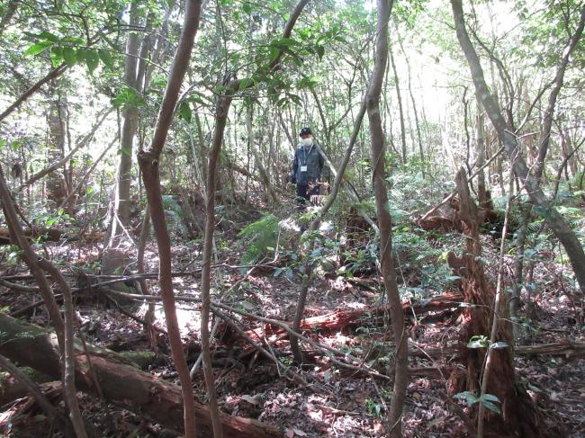 石の産出場所まで下山