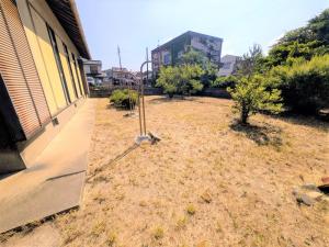 ⑰庭