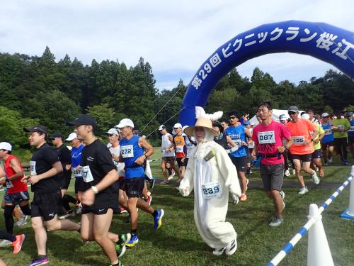 うさぎの仮装で参加