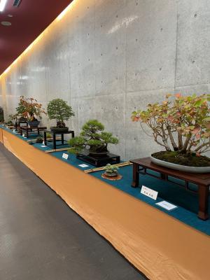 文化祭様子