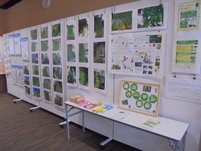 緑のカーテン　展示　写真