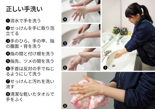①流水で出を洗う②石鹸を手に取り泡立てる③手のひら、手の甲、指の腹面・背を洗う④指の間と付け根を洗う⑤指先、ツメの間を洗う⑥手首は反対の手でねじるようにして洗う⑧清潔な乾いたタオルで手をふく